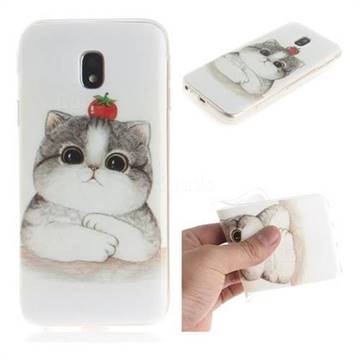 Cute Tomato Cat IMD Soft TPU Cell Phone Back Cover for Samsung Galaxy J3 2017 J330 Eurasian