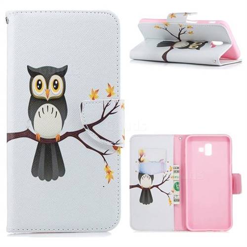 Owl on Tree Leather Wallet Case for Samsung Galaxy J6 Plus / J6 Prime