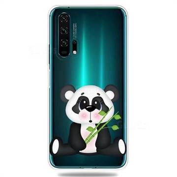 Bamboo Panda Clear Varnish Soft Phone Back Cover for Huawei Honor 20 Pro