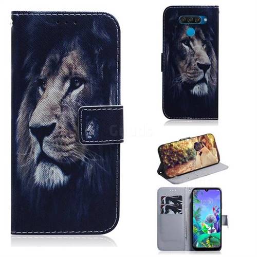 Lion Face PU Leather Wallet Case for LG Q60