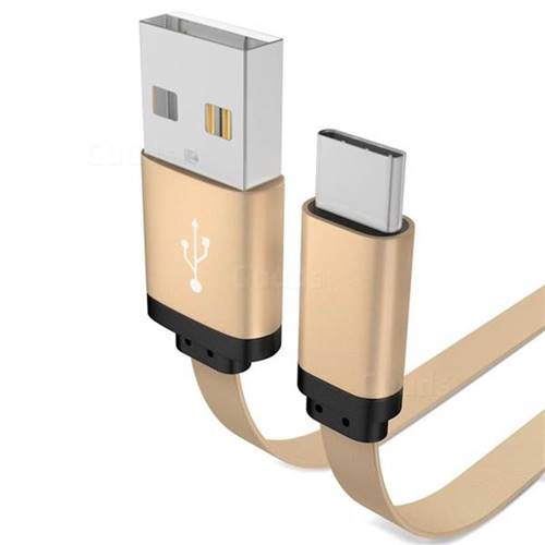 1m Metal Noodle Sawtooth Type-c Data Charging Cable - Golden