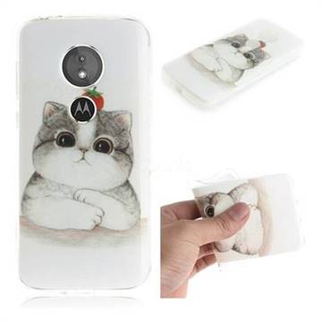 Cute Tomato Cat IMD Soft TPU Cell Phone Back Cover for Motorola Moto E5
