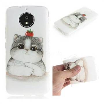 Cute Tomato Cat IMD Soft TPU Cell Phone Back Cover for Motorola Moto G5S