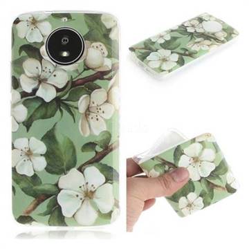 Watercolor Flower IMD Soft TPU Cell Phone Back Cover for Motorola Moto G5S