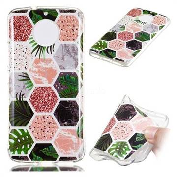 Rainforest Soft TPU Marble Pattern Phone Case for Motorola Moto G5S