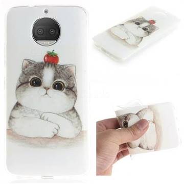 Cute Tomato Cat IMD Soft TPU Cell Phone Back Cover for Motorola Moto G5S Plus