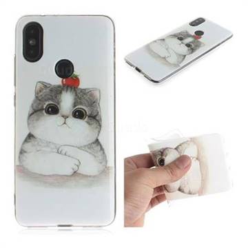 Cute Tomato Cat IMD Soft TPU Cell Phone Back Cover for Xiaomi Mi A2 (Mi 6X)