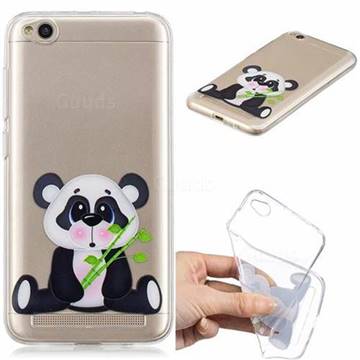 Bamboo Panda Clear Varnish Soft Phone Back Cover for Xiaomi Redmi 5A