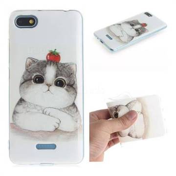 Cute Tomato Cat IMD Soft TPU Cell Phone Back Cover for Mi Xiaomi Redmi 6A