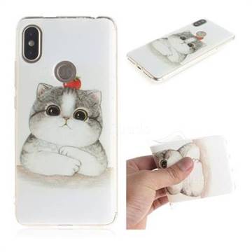 Cute Tomato Cat IMD Soft TPU Cell Phone Back Cover for Mi Xiaomi Redmi S2 (Redmi Y2)
