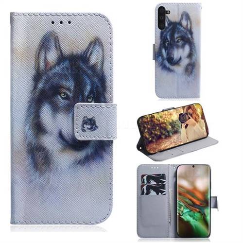 Snow Wolf PU Leather Wallet Case for Samsung Galaxy Note 10 (6.28 inch) / Note10 5G