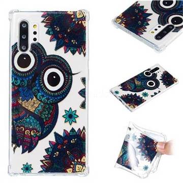 Owl Totem Anti-fall Clear Varnish Soft TPU Back Cover for Samsung Galaxy Note 10 Plus (6.75 inch) / Note 10+