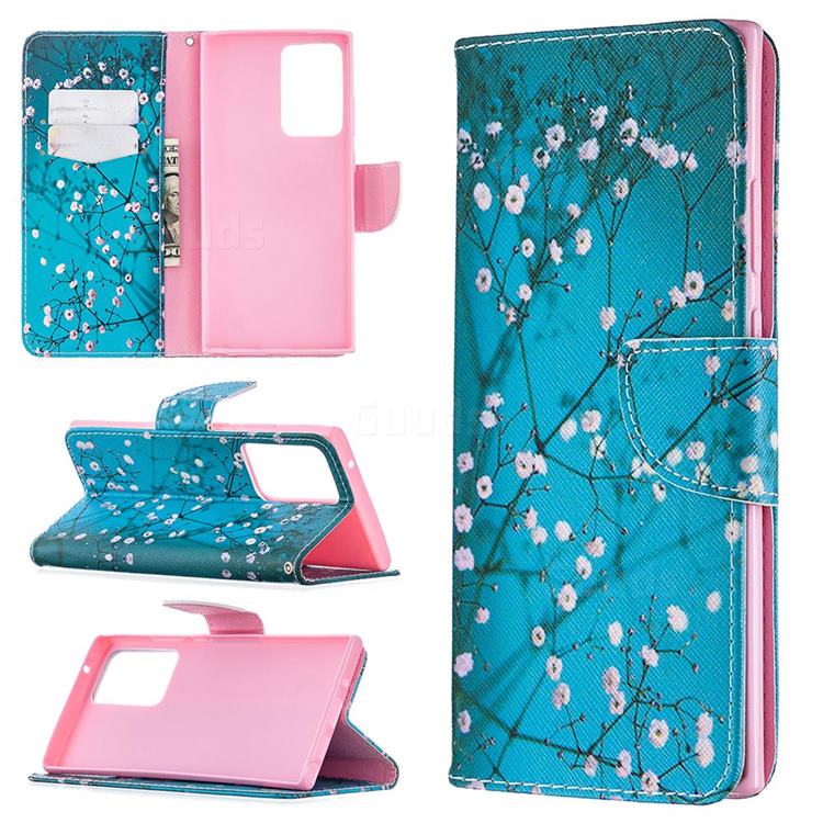 Blue Plum Leather Wallet Case for Samsung Galaxy Note 20 Ultra