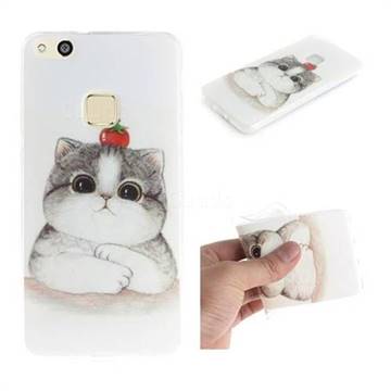 Cute Tomato Cat IMD Soft TPU Cell Phone Back Cover for Huawei P10 Lite P10Lite