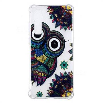 Owl Totem Anti-fall Clear Varnish Soft TPU Back Cover for Huawei P30