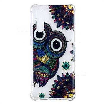 Owl Totem Anti-fall Clear Varnish Soft TPU Back Cover for Huawei P30 Pro