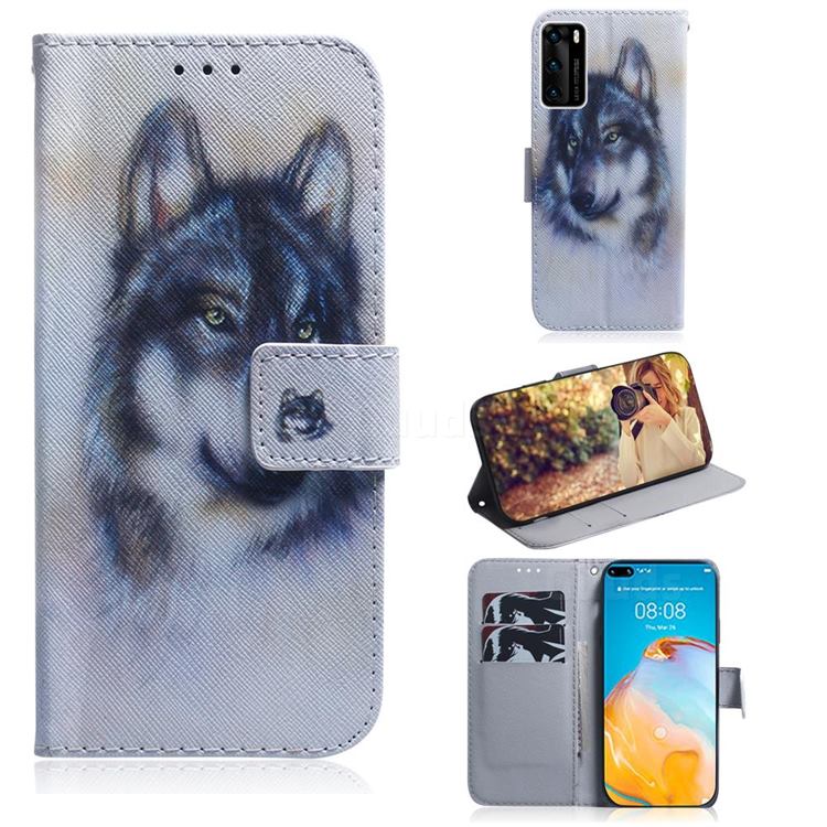 Snow Wolf PU Leather Wallet Case for Huawei P40