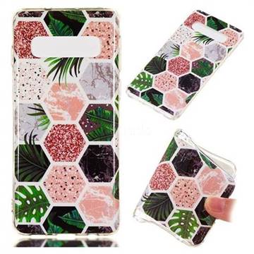 Rainforest Soft TPU Marble Pattern Phone Case for Samsung Galaxy S10 (6.1 inch)