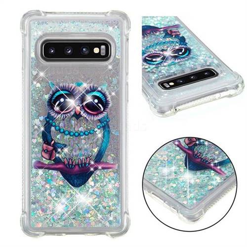 Sweet Gray Owl Dynamic Liquid Glitter Sand Quicksand Star TPU Case for Samsung Galaxy S10 (6.1 inch)