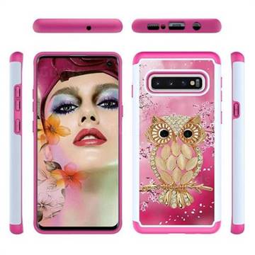 Seashell Cat Shock Absorbing Hybrid Defender Rugged Phone Case Cover for Samsung Galaxy S10 (6.1 inch)