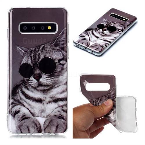 Kitten with Sunglasses Soft TPU Cell Phone Back Cover for Samsung Galaxy S10 (6.1 inch)