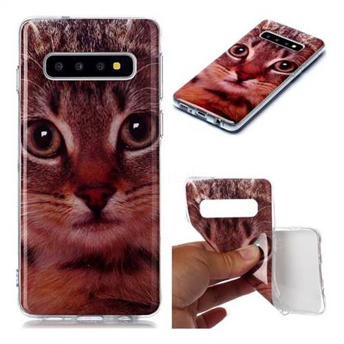 Garfield Cat Soft TPU Cell Phone Back Cover for Samsung Galaxy S10 (6.1 inch)