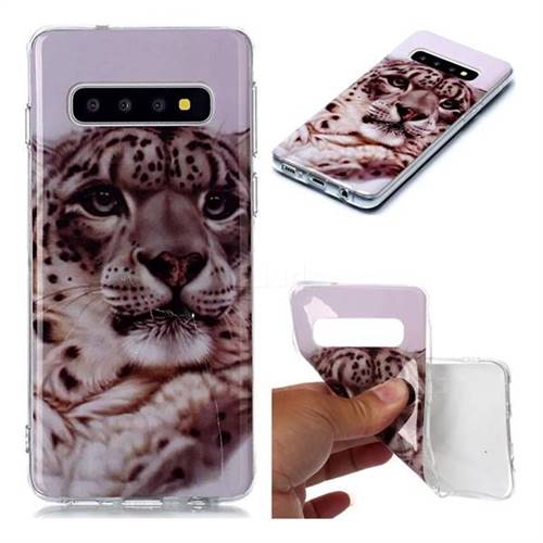 White Leopard Soft TPU Cell Phone Back Cover for Samsung Galaxy S10 (6.1 inch)
