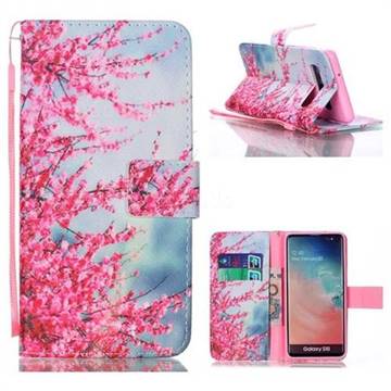 Plum Flower Leather Wallet Phone Case for Samsung Galaxy S10 (6.1 inch)