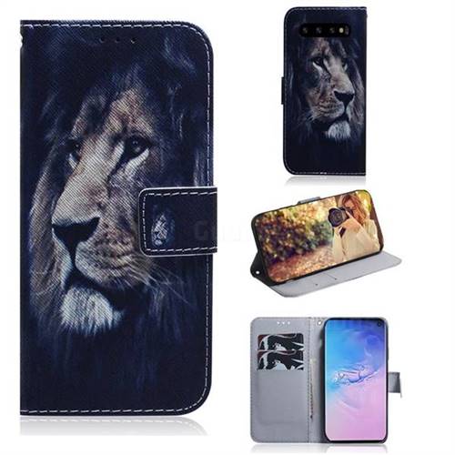 Lion Face PU Leather Wallet Case for Samsung Galaxy S10 (6.1 inch)