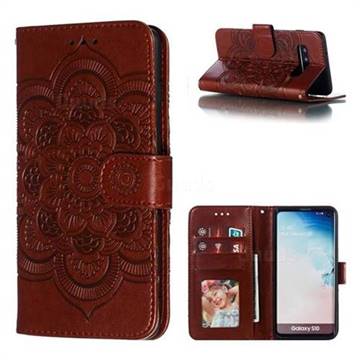 Intricate Embossing Datura Solar Leather Wallet Case for Samsung Galaxy S10 (6.1 inch) - Brown