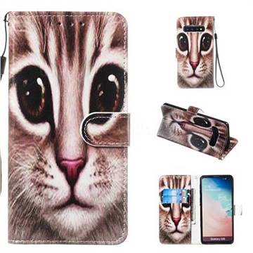 Coffe Cat Smooth Leather Phone Wallet Case for Samsung Galaxy S10 (6.1 inch)