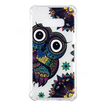Owl Totem Anti-fall Clear Varnish Soft TPU Back Cover for Samsung Galaxy S10e(5.8 inch)