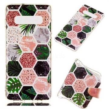 Rainforest Soft TPU Marble Pattern Phone Case for Samsung Galaxy S10 Plus(6.4 inch)