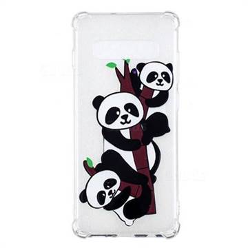 Three Pandas Anti-fall Clear Varnish Soft TPU Back Cover for Samsung Galaxy S10 Plus(6.4 inch)