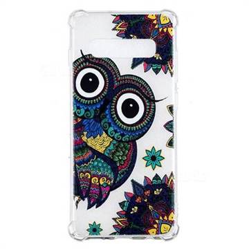 Owl Totem Anti-fall Clear Varnish Soft TPU Back Cover for Samsung Galaxy S10 Plus(6.4 inch)