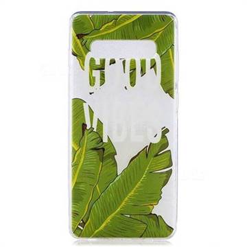 Good Vibes Banana Leaf Super Clear Soft TPU Back Cover for Samsung Galaxy S10 Plus(6.4 inch)