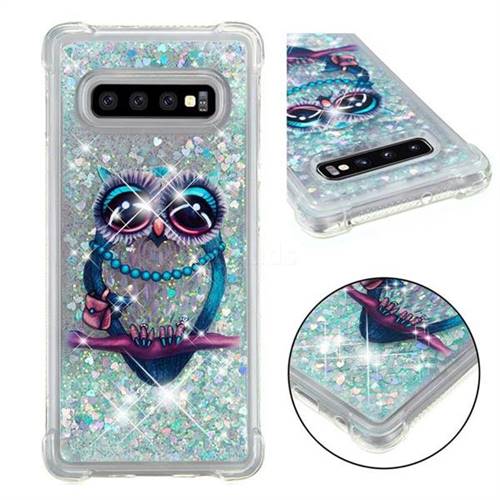 Sweet Gray Owl Dynamic Liquid Glitter Sand Quicksand Star TPU Case for Samsung Galaxy S10 Plus(6.4 inch)