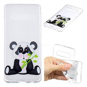 Bamboo Panda Clear Varnish Soft Phone Back Cover for Samsung Galaxy S10 Plus(6.4 inch)