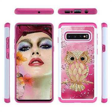 Seashell Cat Shock Absorbing Hybrid Defender Rugged Phone Case Cover for Samsung Galaxy S10 Plus(6.4 inch)