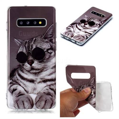 Kitten with Sunglasses Soft TPU Cell Phone Back Cover for Samsung Galaxy S10 Plus(6.4 inch)