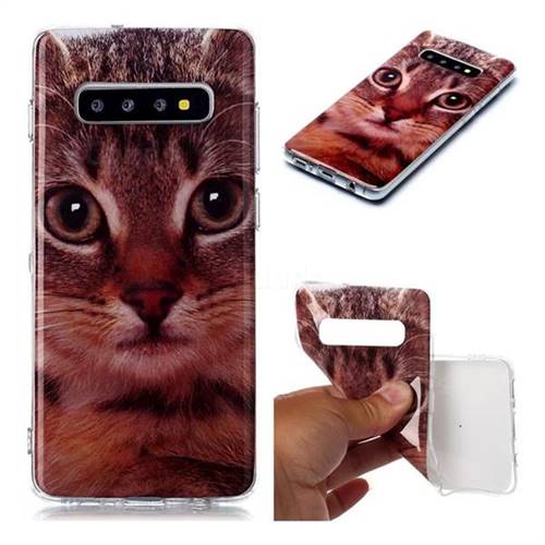 Garfield Cat Soft TPU Cell Phone Back Cover for Samsung Galaxy S10 Plus(6.4 inch)