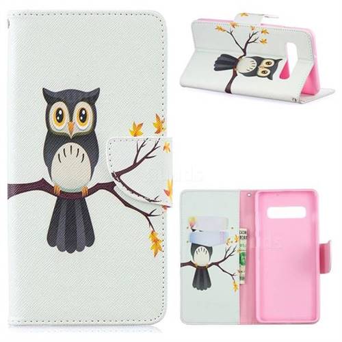 Owl on Tree Leather Wallet Case for Samsung Galaxy S10 Plus(6.4 inch)