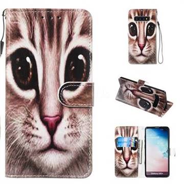 Coffe Cat Smooth Leather Phone Wallet Case for Samsung Galaxy S10 Plus(6.4 inch)