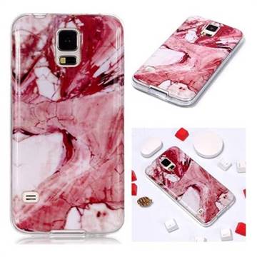 Pork Belly Soft TPU Marble Pattern Phone Case for Samsung Galaxy S5 G900