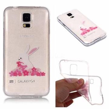 Cherry Blossom Rabbit Super Clear Soft TPU Back Cover for Samsung Galaxy S5 G900