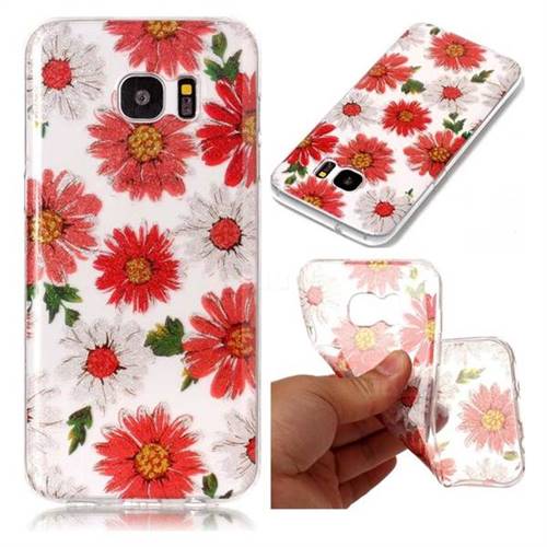 Red Daisy Super Clear Soft TPU Back Cover for Samsung Galaxy S7 Edge s7edge