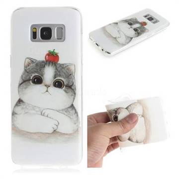 Cute Tomato Cat IMD Soft TPU Cell Phone Back Cover for Samsung Galaxy S8