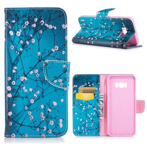 Blue Plum Leather Wallet Case for Samsung Galaxy S8 Plus S8+