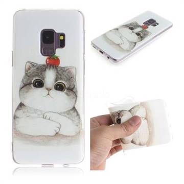 Cute Tomato Cat IMD Soft TPU Cell Phone Back Cover for Samsung Galaxy S9
