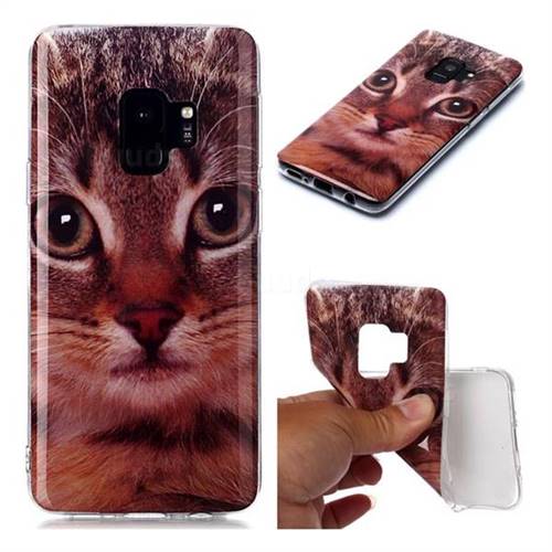 Garfield Cat Soft TPU Cell Phone Back Cover for Samsung Galaxy S9